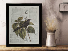 Crow Print Raven Print Wall Art Decor Sign Poster PRINTABLE Halloween