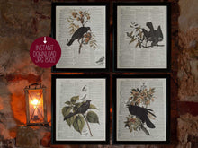 Crow Print Raven Print Wall Art Decor Sign Poster PRINTABLE Halloween