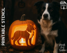 Border Collie Pumpkin Carving Stencil, Dog Stencil, Printable Halloween Pattern, Template, Jack O' Lantern, Instant Download