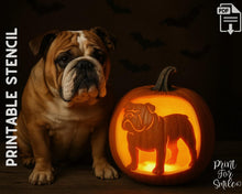 Bulldog Pumpkin Carving Stencil, Dog Stencil, Printable Halloween Pattern, Template, Jack O' Lantern, Instant Download