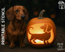 Dachshund Pumpkin Carving Stencil, Dog Pumpkin Stencil, Printable Halloween Pattern, Template, Jack O' Lantern, Instant Download