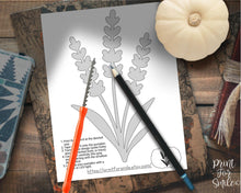 Lavender Pumpkin Carving Stencil Template Floral Halloween PRINTABLE