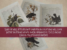 Crow Print Raven Print Wall Art Decor Sign Poster PRINTABLE Halloween